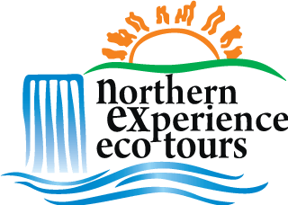 Northern Experience Eco Tours